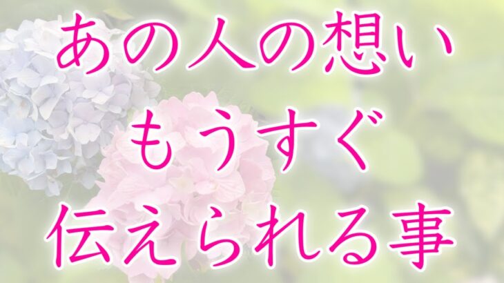 【恋愛】あの人の想い  もうすぐ伝えられる事🦋💕🌼【タロットオラクルルノルマンリーディング】