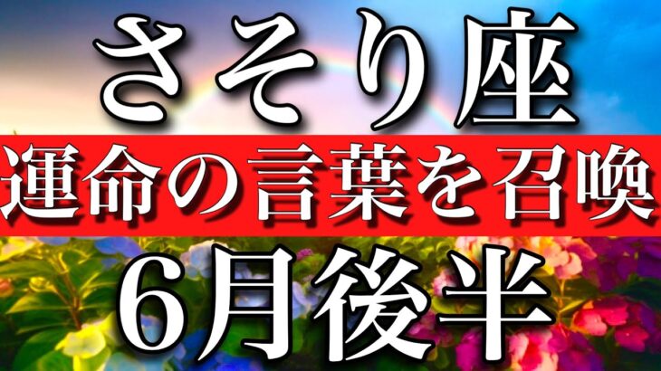 さそり座♏︎2023年6月後半　運命の言葉を召喚する　Scorpio✳︎late June 2023