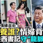 習近平深信“秦嶺風水”！陝西一把手為習守“龍脈”，自稱“護林員”；中石油高官拉美女逛街，被“街拍”曝光，誰包養誰？「指鼠為鴨」事件發酵，當年指鹿為馬後，秦三年亡國；中國高考舉行｜新聞拍案驚奇 大宇