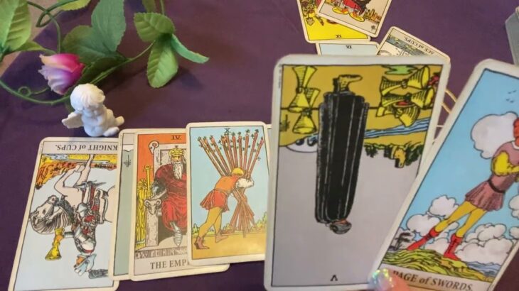 【タロット占い】山羊座♑️2023年6月後半の運勢🔮6/16〜6/30 sango tarot reading