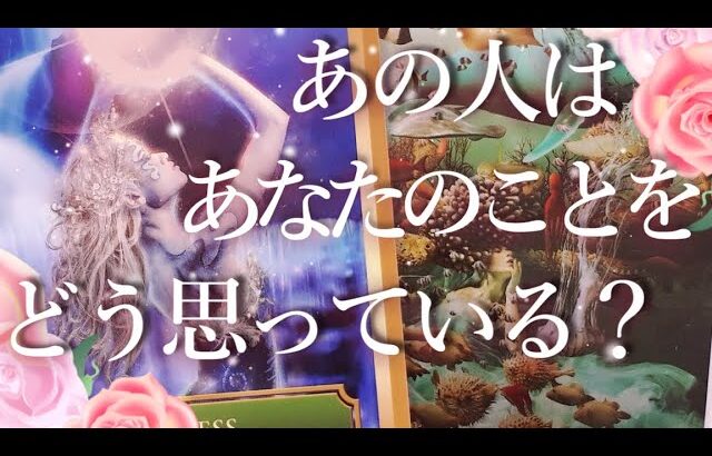 あの人はあなたのことをどう思っている？占い💖恋愛・片思い・復縁・複雑恋愛・好きな人・疎遠・タロット・オラクルカード