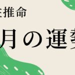 ２０２３年６月の全体運を占ってみました。６月は戊午。土と火が巡ってきます。【四柱推命・占い・運命】