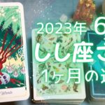 しし座さん♌️6月の運勢✨全体運・仕事運・人間関係・金運