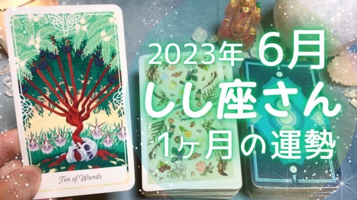 しし座さん♌️6月の運勢✨全体運・仕事運・人間関係・金運