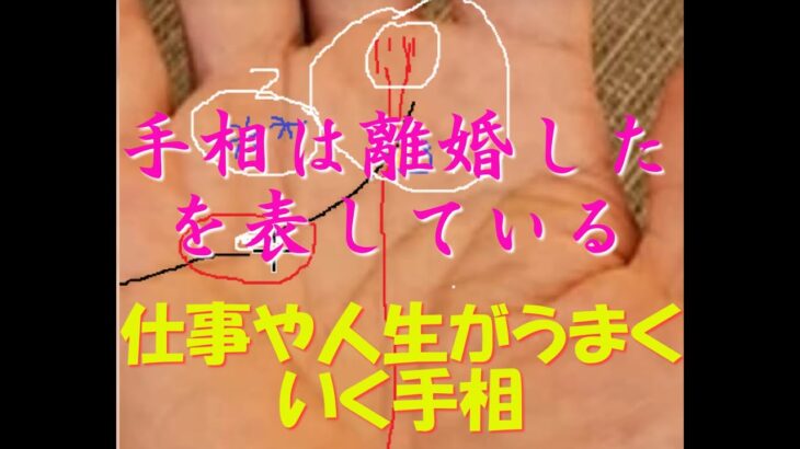 手相は離婚したを表している『仕事や人生がうまくいく手相』　占い、#手相、#占い手相Vlogs