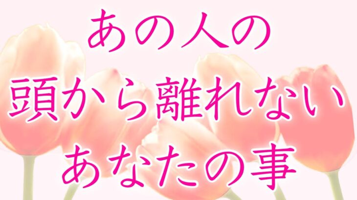 【恋愛】あの人の頭から離れないあなたの事🦋💕🌼【タロットオラクルルノルマンリーディング】