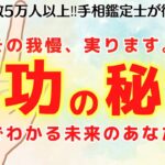 《有料級解説》成功の秘訣は手相にあった！！我慢してるあなたに手相が教えてくれる開運メッセージ！【手相鑑定】～質問返し～