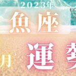 魚座♓️ 【７月の運勢🌈】2023　ココママの何故か当たる！個人鑑定級タロット占い🔮ラッキー４アイテム