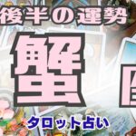 🔮蟹座♋️2023年6月後半の運勢、仕事運、金運、恋愛運、人間関係、やったら良い事、現状🌈ガチ占い🔮厳しい内容もあります🌟説明欄見てね🍀タロット占い🔮オラクル❤️