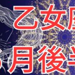 【乙女座６月後半運勢】〇〇な人には要注意⚠️人間関係のストレスから解放💖［星座と繋がる］