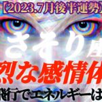 【蠍座♏7月後半運勢】蠍座さんの理解度up♡強烈な感情体験を経て人生の美しさや甘さをわからせられる！　エネルギーは無限大なのです　✡️4択で📬付き✡️　❨タロット占い❩