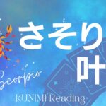 さそり座【不安や迷いが消え運命が動き出す！】もうすぐ叶う🌠恋愛・結婚・仕事・金運・健康など🌝月星座蠍座も🔮ルノルマンカードリーディング占い