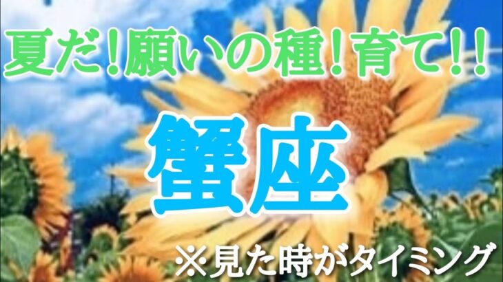 #蟹座♋️さん【#夏だ！願いの種！育て！🌻✨】今必要なメッセージ　※見た時がタイミング