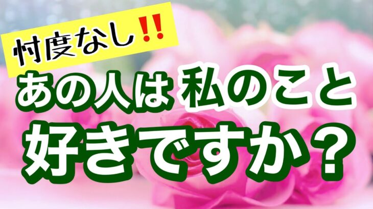 【忖度なし!!😯】あの人は私のこと好きですか?💓タロット・ルノルマン💫