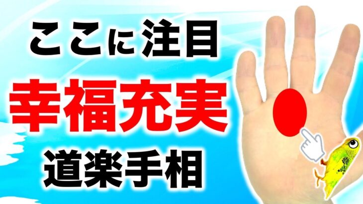 【手相】この場所が○○になっていたら幸福に充実する【切り抜き】