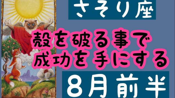 【8月前半の運勢】蠍座　殻を破る事で成功を手にする！超細密✨怖いほど当たるかも知れない😇#星座別#タロットリーディング#蠍座