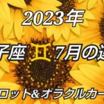 2023年7月《双子座♊️》✨全てに愛を注いでいく✨