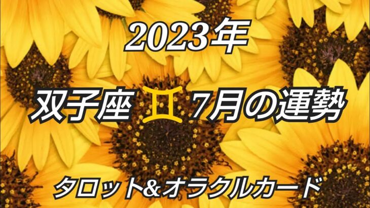 2023年7月《双子座♊️》✨全てに愛を注いでいく✨