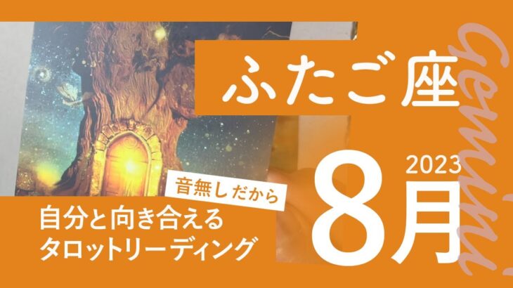 【ふたご座】絶好調★2023年8月★タロットリーディング★【音声なし】【双子座】