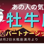 牡牛座さんの恋愛＆パートナーシップ運【2023年８月２日水瓶座満月　タロットリーディング】あの人の気持ち　＃タロット　＃恋愛　＃牡牛座