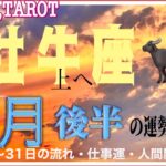 立ち位置の変化🏋️‍♀️牡牛座♉さん【7月後半の運勢〜15日～31日の流れ・仕事運・人間関係】#タロット占い #直感リーディング #2023