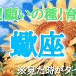 #蠍座♏️さん【#夏だ！願いの種！育て！🌻✨】今必要なメッセージ　※見た時がタイミング