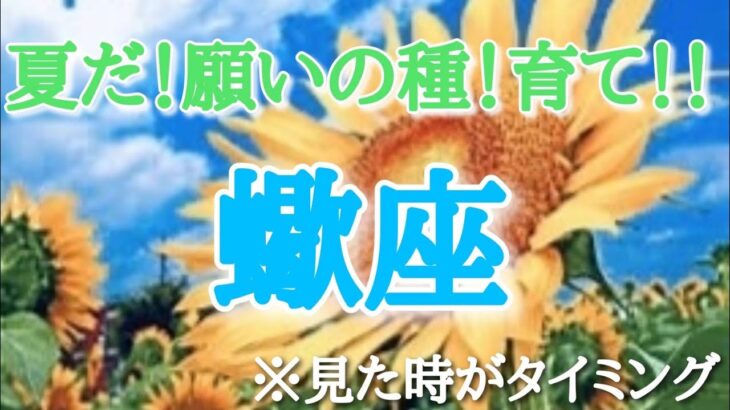 #蠍座♏️さん【#夏だ！願いの種！育て！🌻✨】今必要なメッセージ　※見た時がタイミング