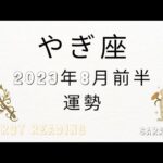 ♑山羊座♑2023年8月1日～15日までの運勢【タロット占い】