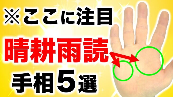 【手相】人生が報われる！晴耕雨読手相５選