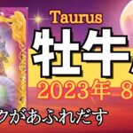 【牡牛座♉️】2023年8月🌈リアル 周りから助けられる勝利🌟今年は大幸運期 精神的な成熟の始まり🌟本音での人との関係【エンジェルカード】【ラッキーデー】【タロット占い】【星座占い牡牛座】【おうし座】