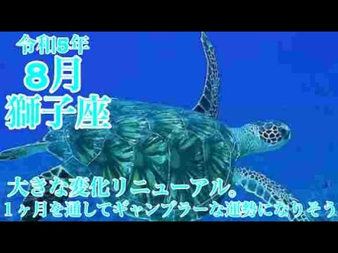 【♌️獅子座・しし座・2023年・令和5年・８月運勢】🔮タロット占い・ピリッと辛口あるかも⚠️概要欄ご覧下さいませ❤️