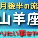 山羊座🔮7月の後半の流れ⭐️カードリーディング✨✨