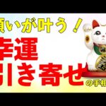 幸運が押し寄せる！　３○歳女性に出ていた、20年に１度の幸運引き寄せの手相！【ニシタニショーVol.144】手相家　西谷泰人