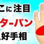 【手相】この手相の人は一生子供心を忘れない【切り抜き】