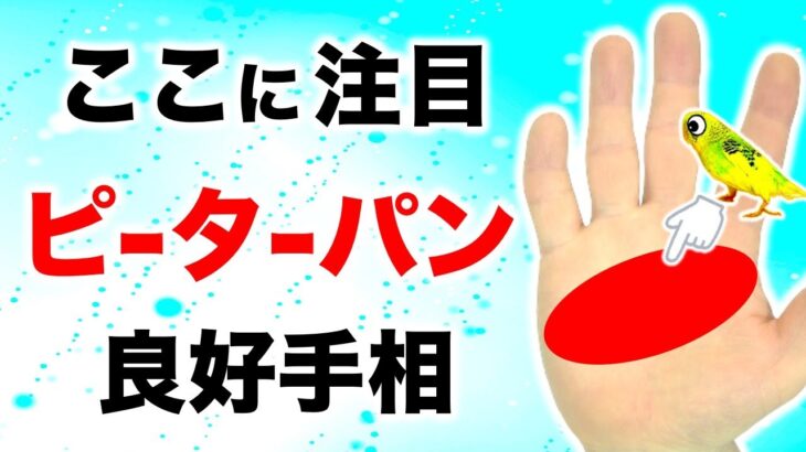 【手相】この手相の人は一生子供心を忘れない【切り抜き】