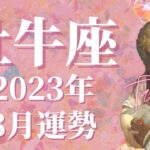 【牡牛座】2023年8月運勢　もう何も心配いりません…居場所が見つかり、待ち望んだ時間が訪れます🌈同じ志を持つ仲間と、大きく成長するときです！【タロット占い】【星占い】【おうし座】【占星術】