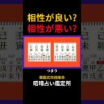 【四柱推命 あきはる】相性判断で参考にすべきこと #shorts #昭晴占い鑑定所