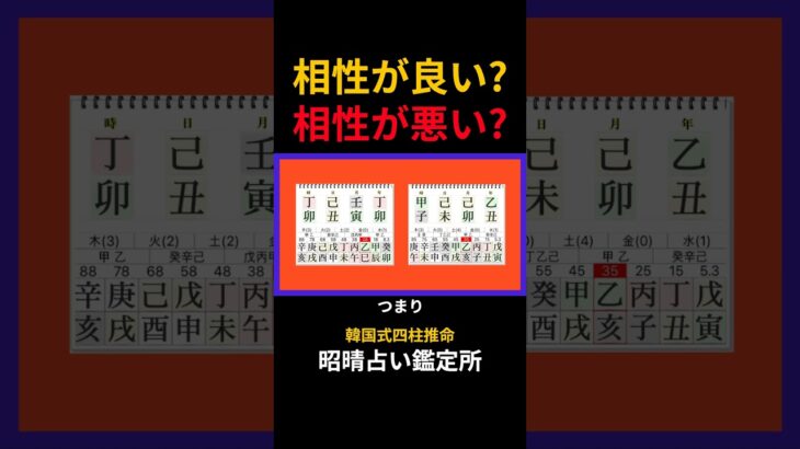 【四柱推命 あきはる】相性判断で参考にすべきこと #shorts #昭晴占い鑑定所