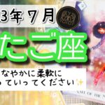 【ふたご座♊️2023年７月】🔮タロットリーディング🔮〜今大事なのは、しなやかに素直に幸せを受け取ることです🌟〜