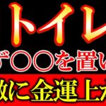 【※今すぐ確認して下さい】トイレに○○を置くだけで、恐ろしいほど急激に金運が上昇します。