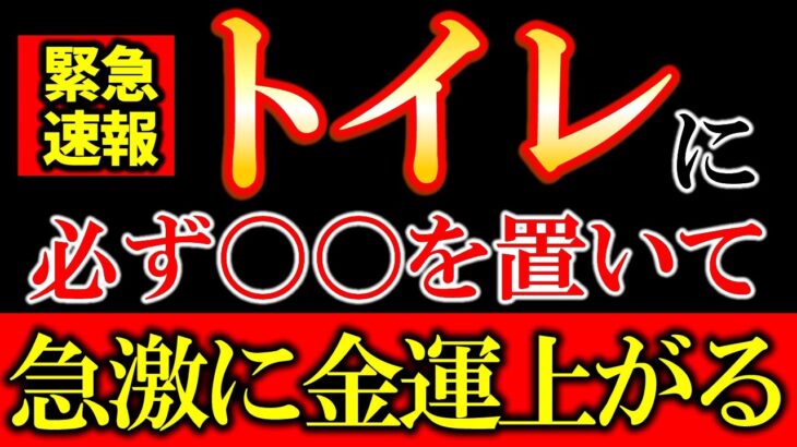 【※今すぐ確認して下さい】トイレに○○を置くだけで、恐ろしいほど急激に金運が上昇します。