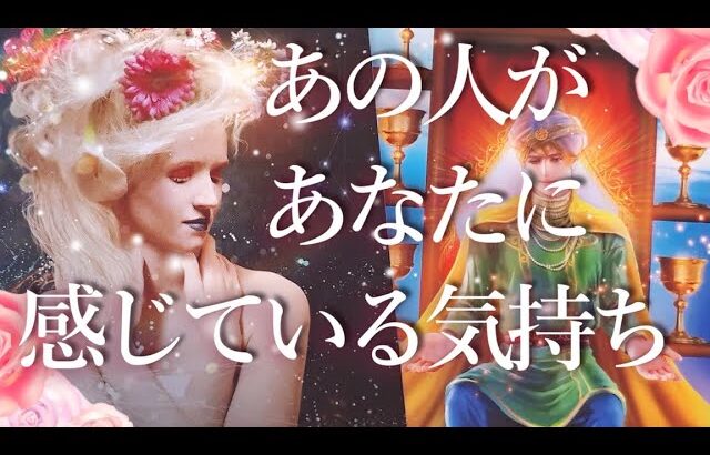 今あの人があなたに感じている気持ち😌占い💖恋愛・片思い・復縁・複雑恋愛・好きな人・疎遠・タロット・オラクルカード