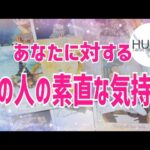 あの人の素直なお気持ち🦋恋愛タロット🦋相手の気持ち🦋片思い復縁複雑🦋個人鑑定級占い