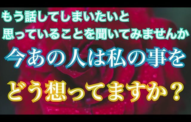 今あの人は私の事をどう想ってますか？😳気持ち💗恋愛タロット占い オラクル ルノルマンカード 片思い 両思い 復縁 複雑恋愛など