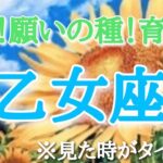 #乙女座♍️さん【#夏だ！願いの種！育て！🌻✨】今必要なメッセージ　※見た時がタイミング