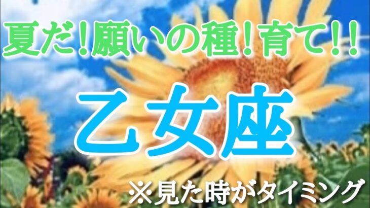 #乙女座♍️さん【#夏だ！願いの種！育て！🌻✨】今必要なメッセージ　※見た時がタイミング