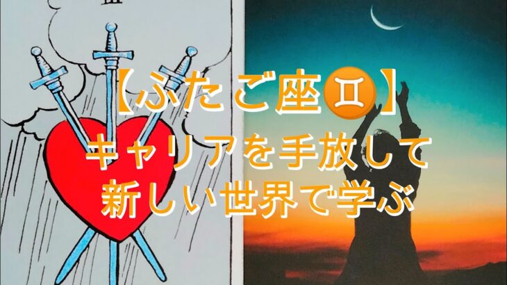 【ふたご座♊】〜貴方が見つける幸せの在り処〜キャリアを手放して新しい世界で学ぶ