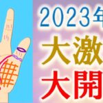 【手相 占い】2023年秋から来る時代の変化にうまく乗れる手相・危険な手相＆開運アドバイス！水森太陽が徹底解説！【2023年下半期の運勢】