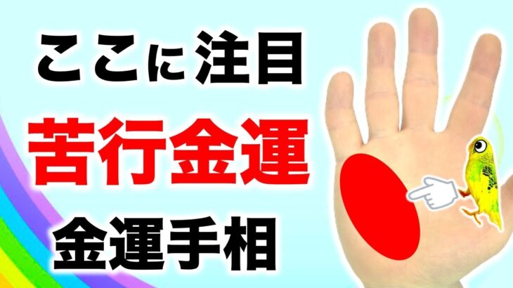 【手相】この線がある人は苦しみ抜いて金財を掴む【切り抜き】