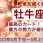 【牡牛座♉️おめでとうございます❣️】新しい羽を大きく広げ、新世界に旅立つ時が来ました✨